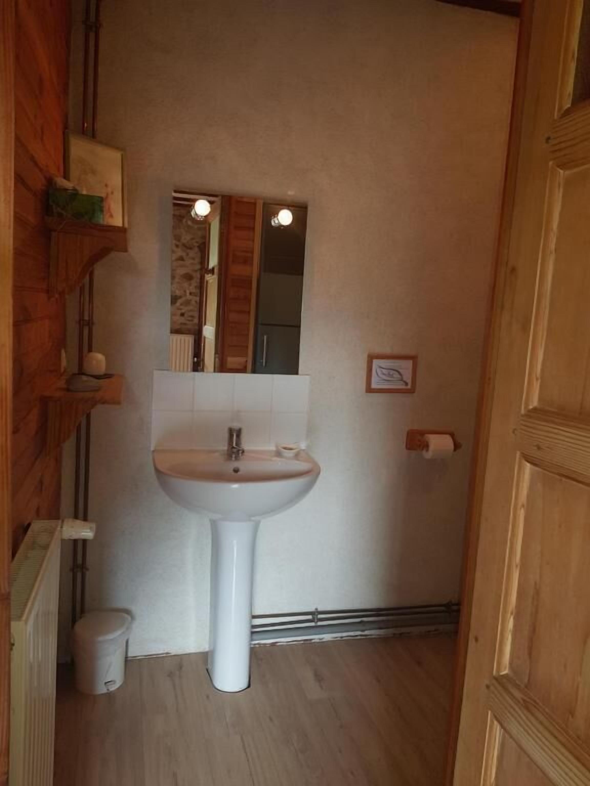 Une petite salle de bain avec un lavabo sur colonne blanc, un miroir et des toilettes.