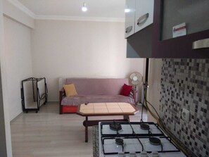 Classic Apartment, 1 Bedroom | Private kitchen | Fridge, stovetop, electric kettle, cookware/dishes/utensils - C C Home Apart (Edirne)