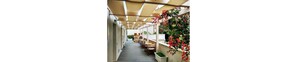 Outdoor dining - Mina Accomodation (Tropea)