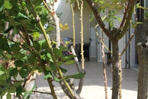 A garden with a tree trunk and green leaves. - Costas Hostel Action (Tseri)