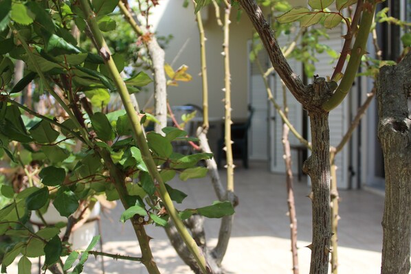 Free WiFi, bed sheets - Costas Hostel Action (Tseri)