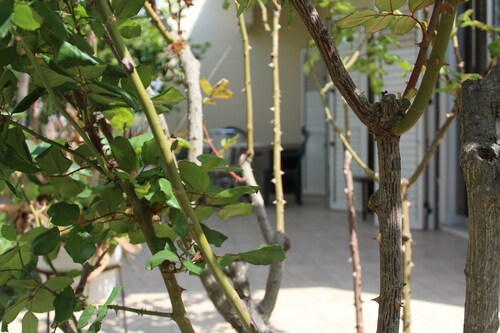 Costas Hostel Action