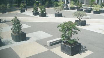 Pemandangan dari properti