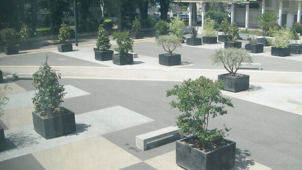 Una plaza con varios macizos cuadrados que albergan diferentes árboles y arbustos.