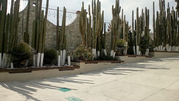 Unclassified image, 1 of 29, button - Lov Boutique Hotel Amaque (Epazoyucan)