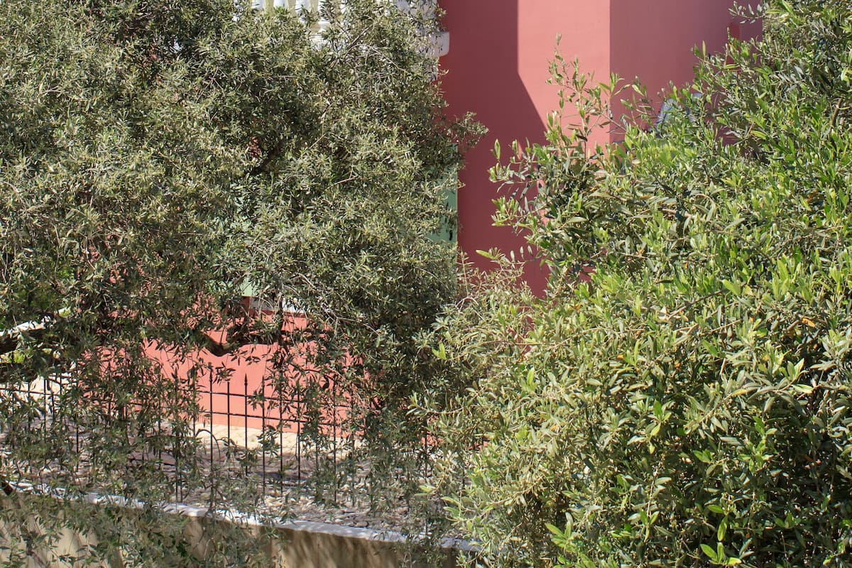 Une maison rose avec un toit rouge, entourée de verdure.