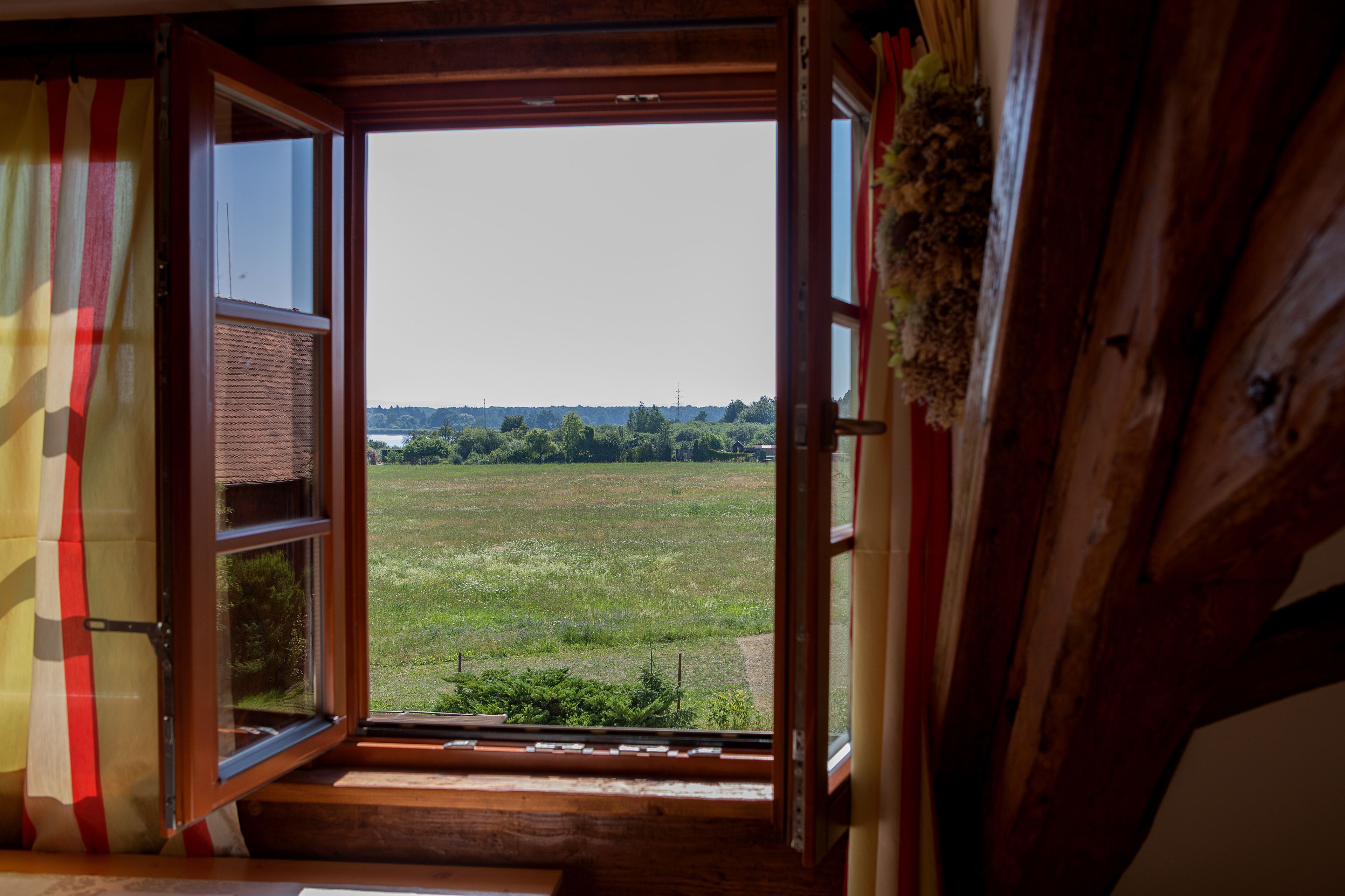 quadruple room | view from room