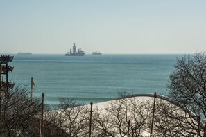 Un paysage côtier avec un grand navire et un plus petit bateau visible au loin.
