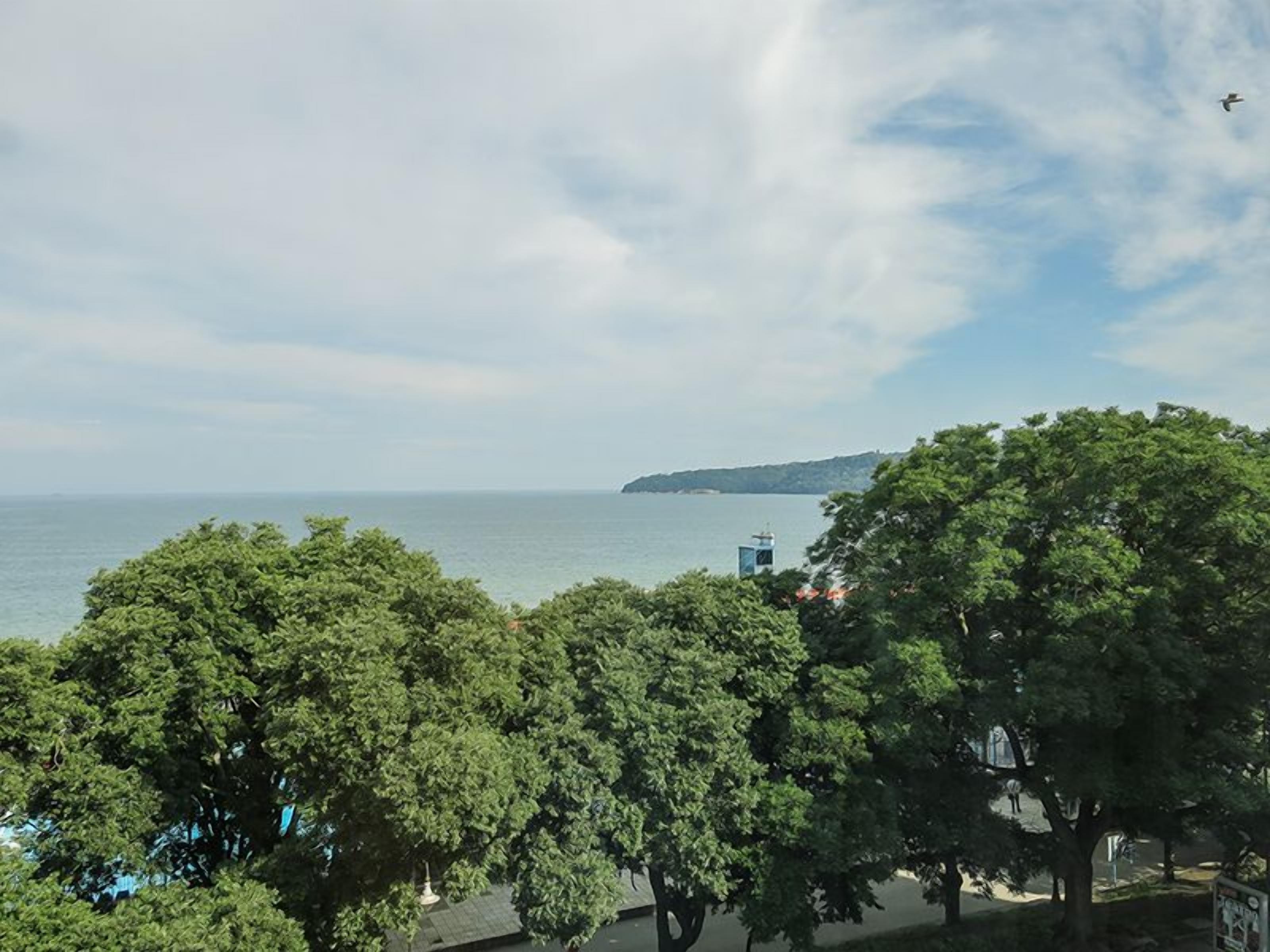 A coastal view with trees, a clear sky, and a distant island.