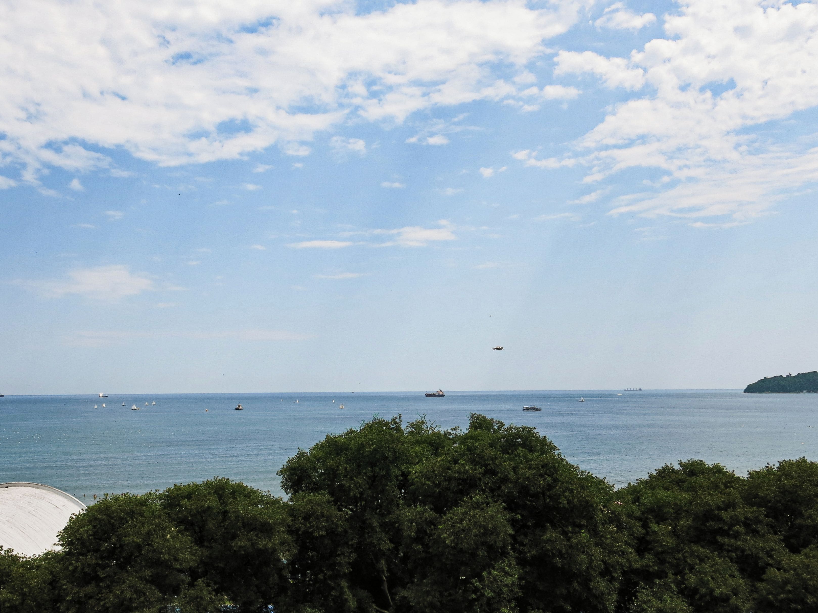 Blick auf die Küste mit blauem Himmel, Sandstrand und bewaldetem Gebiet.