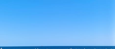 En rad strandhytter med fri utsikt över havet och några måsar som sitter på taken.