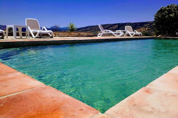Outdoor pool, sun loungers