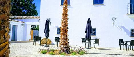 Un patio con una palmera, asientos al aire libre y un edificio blanco con varias ventanas.