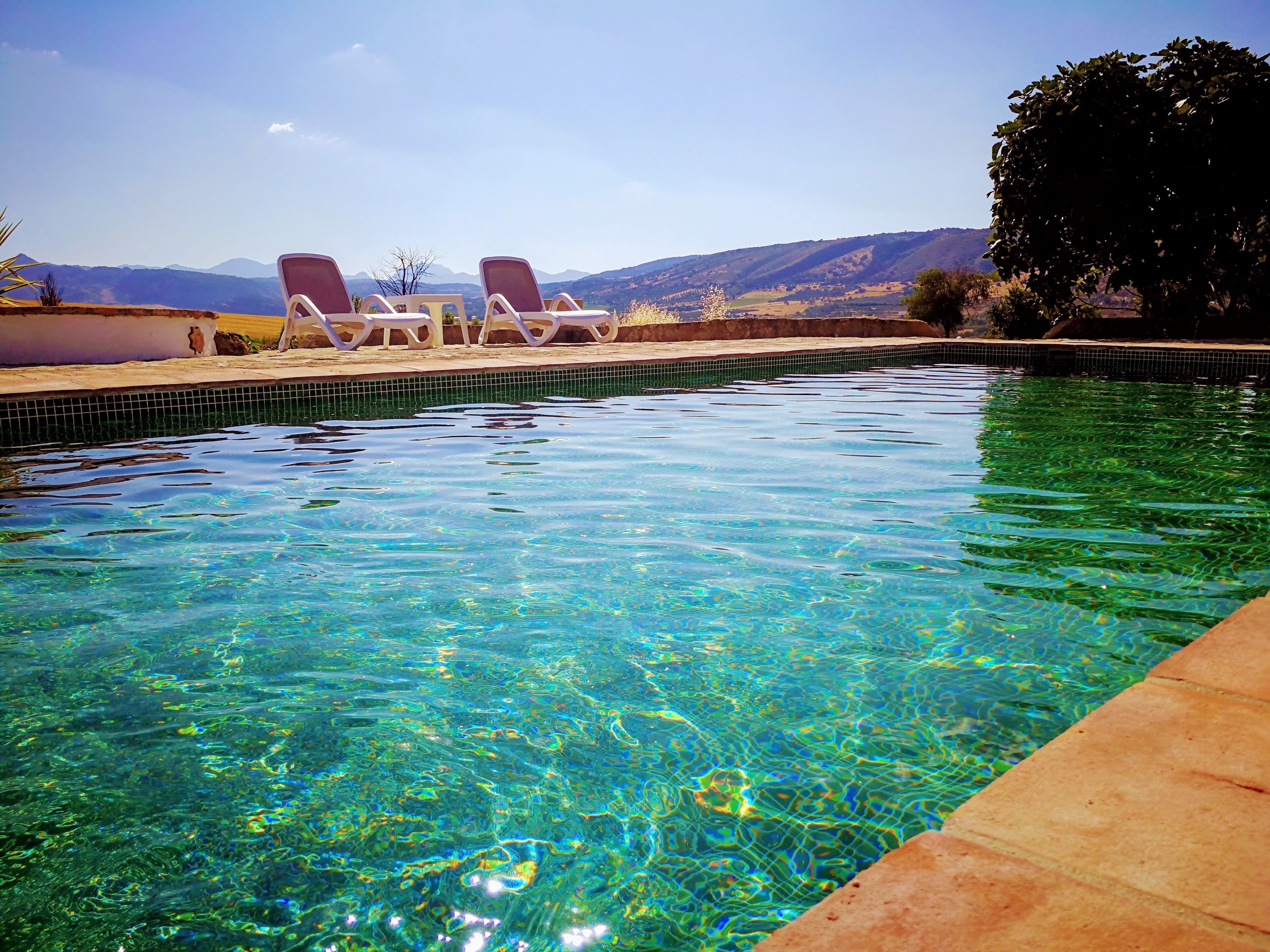 outdoor pool, pool loungers