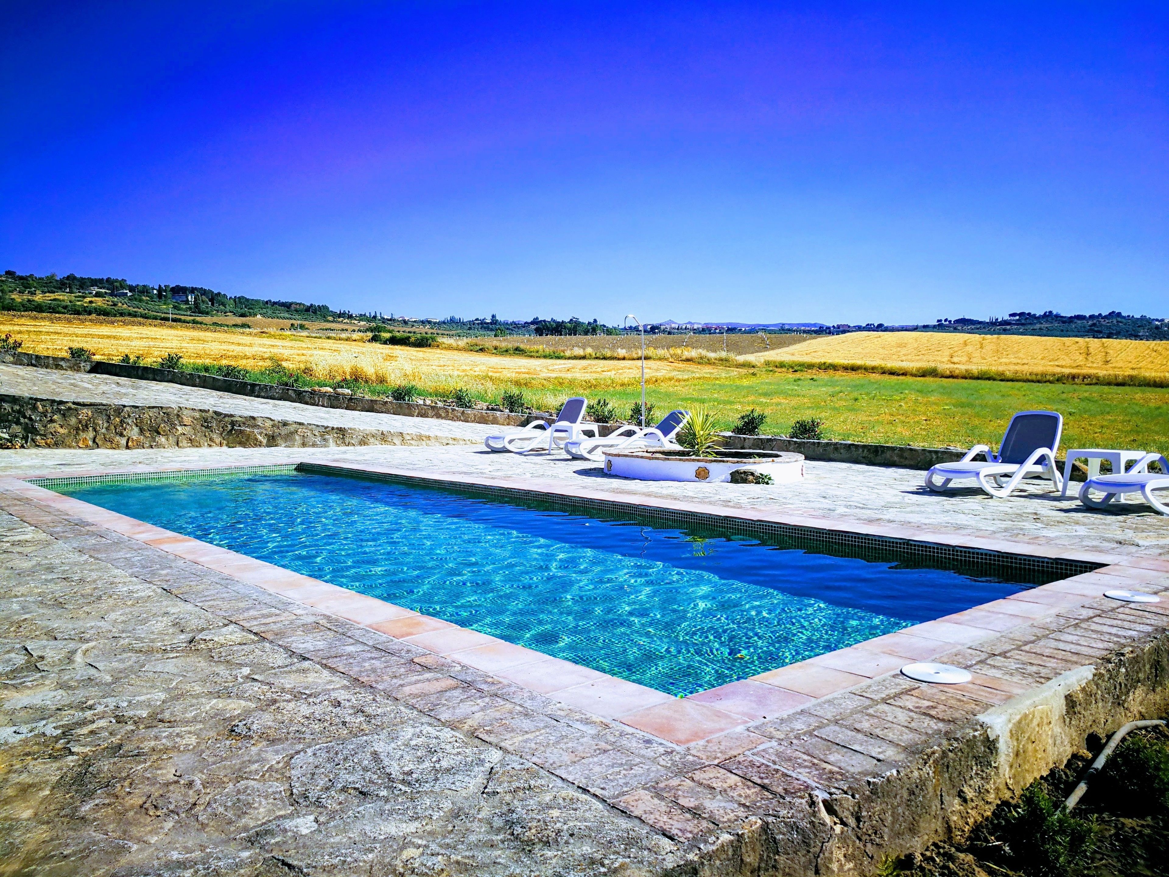 Une piscine rectangulaire à l’eau d’un bleu limpide, entourée de carreaux de pierre. Plusieurs chaises longues blanches, agrémentées de coussins bleus, sont disposées autour de la piscine. Celle-ci se trouve devant un champ verdoyant et un ciel d’un bleu éclatant.