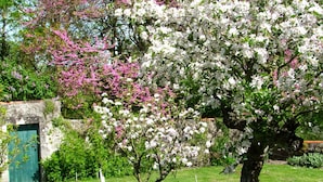 Garden - Maison de la Malnaye Chambres d'hôtes (Les Lucs-sur-Boulogne)