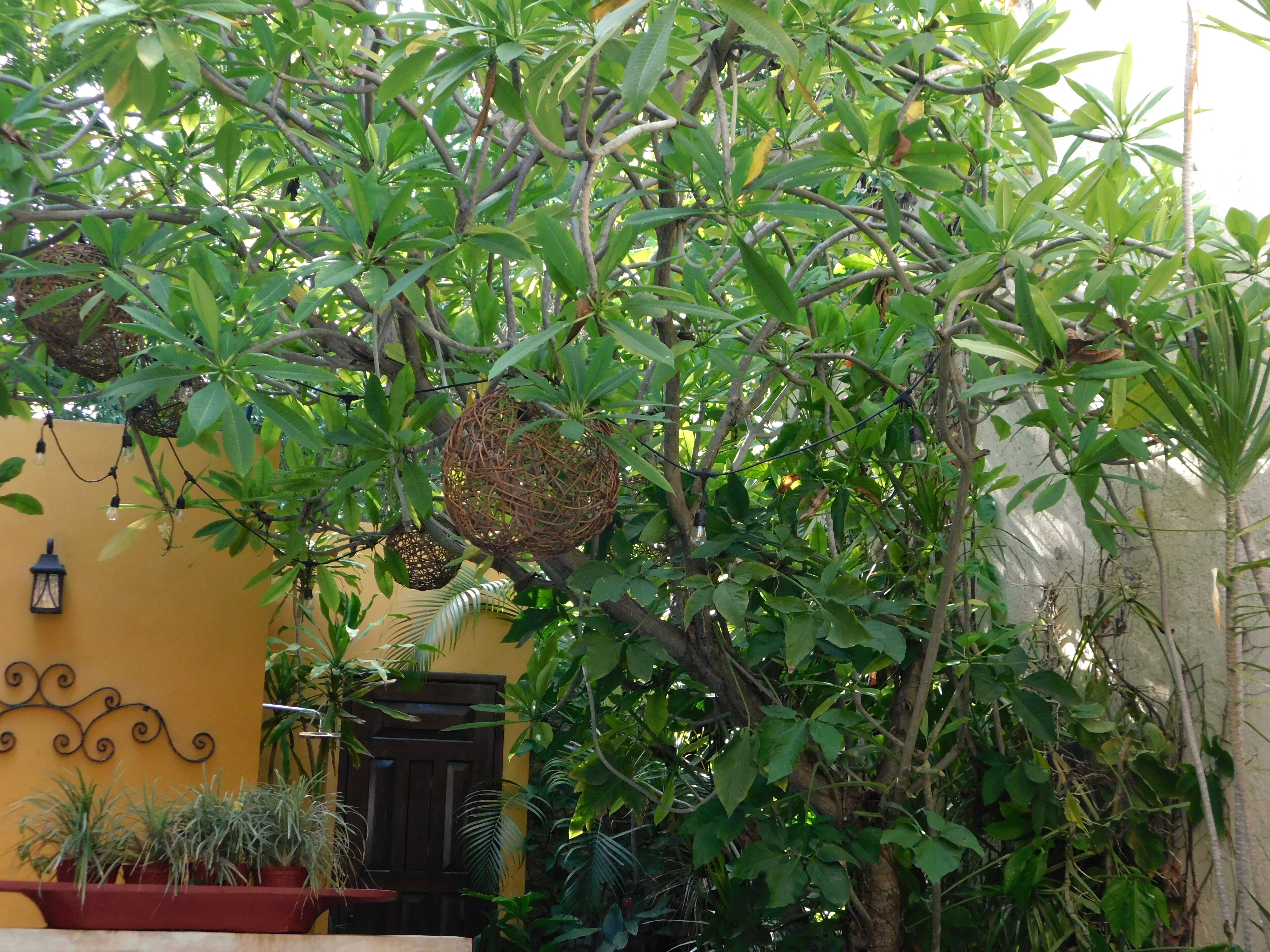 Photo - Hotel Boutique Casa Flor de Mayo