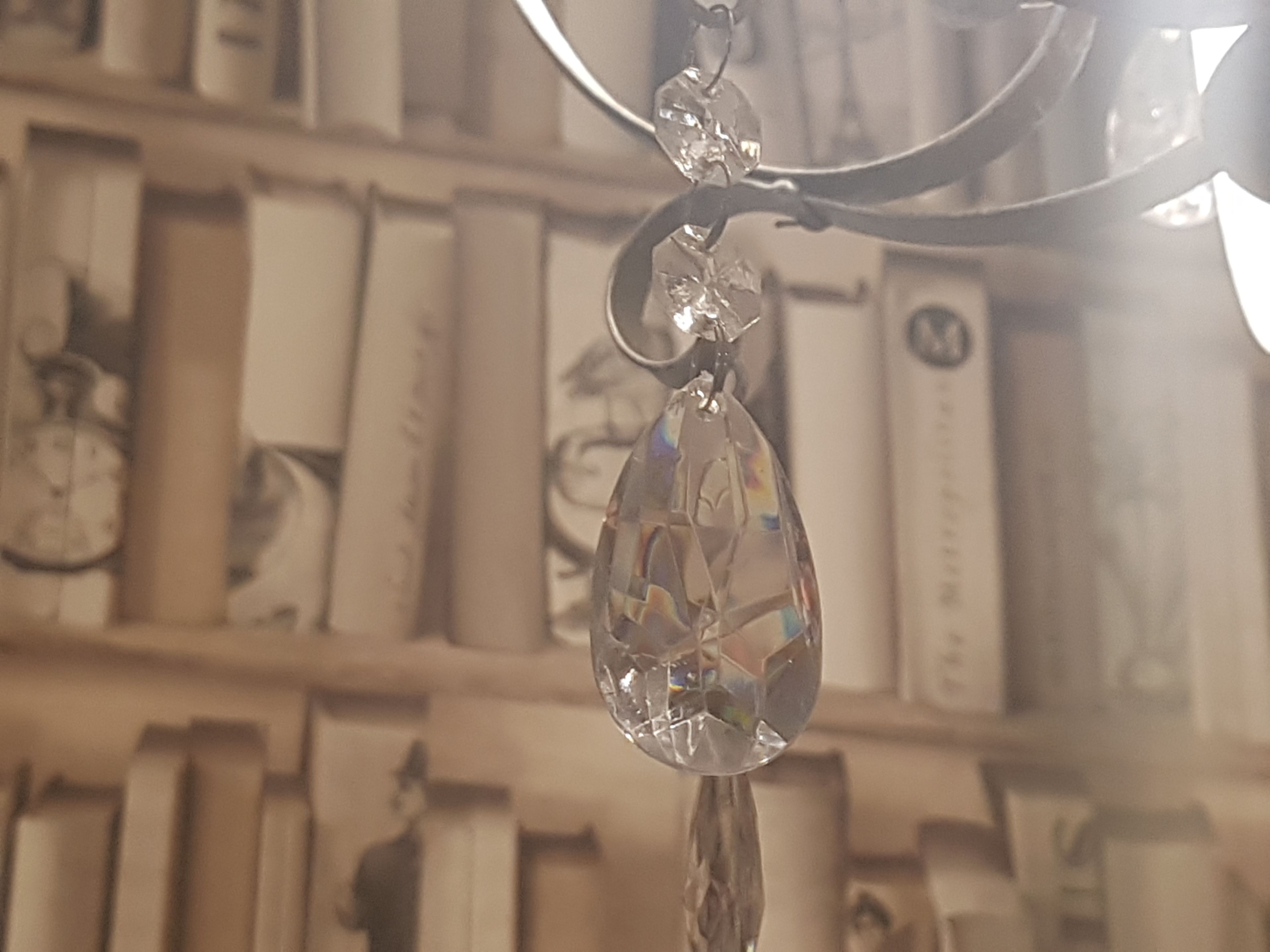 Foto - L'Ortodellerose