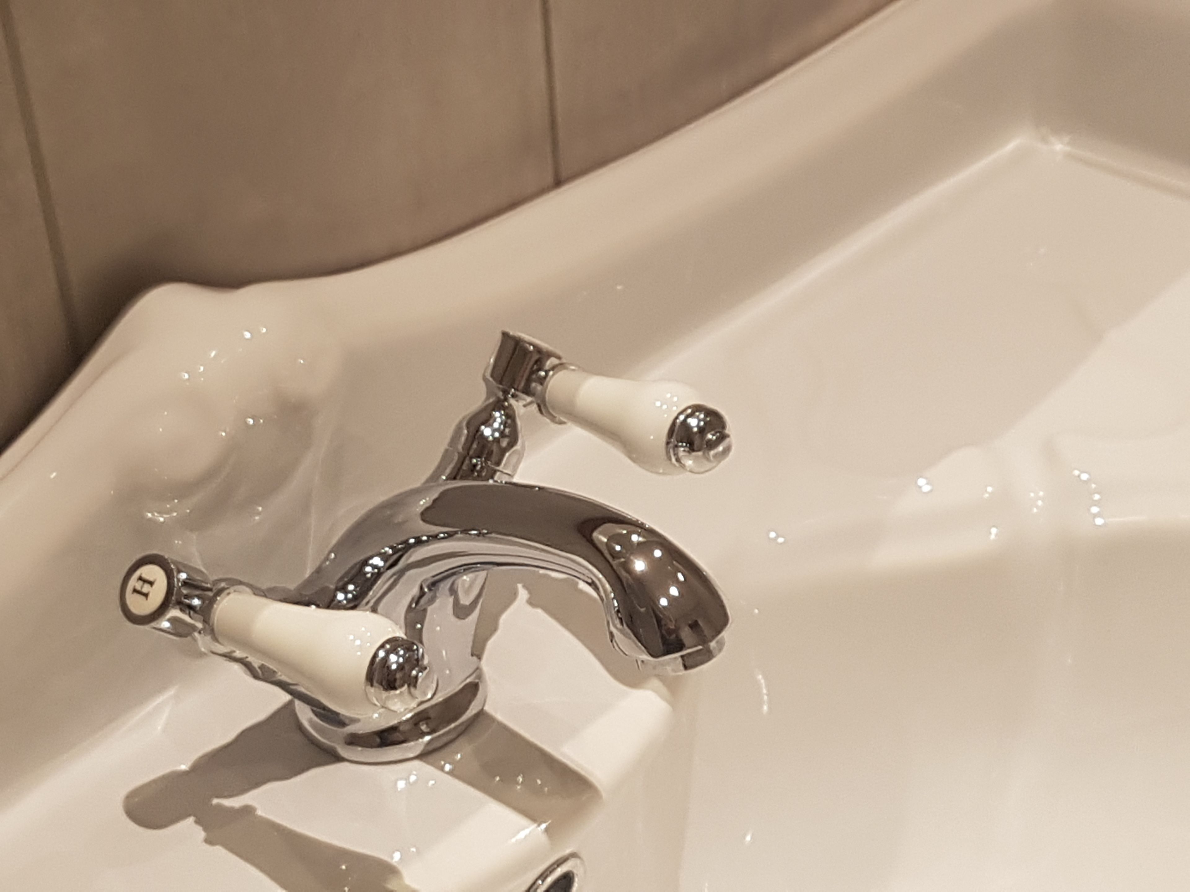 Foto - L'Ortodellerose