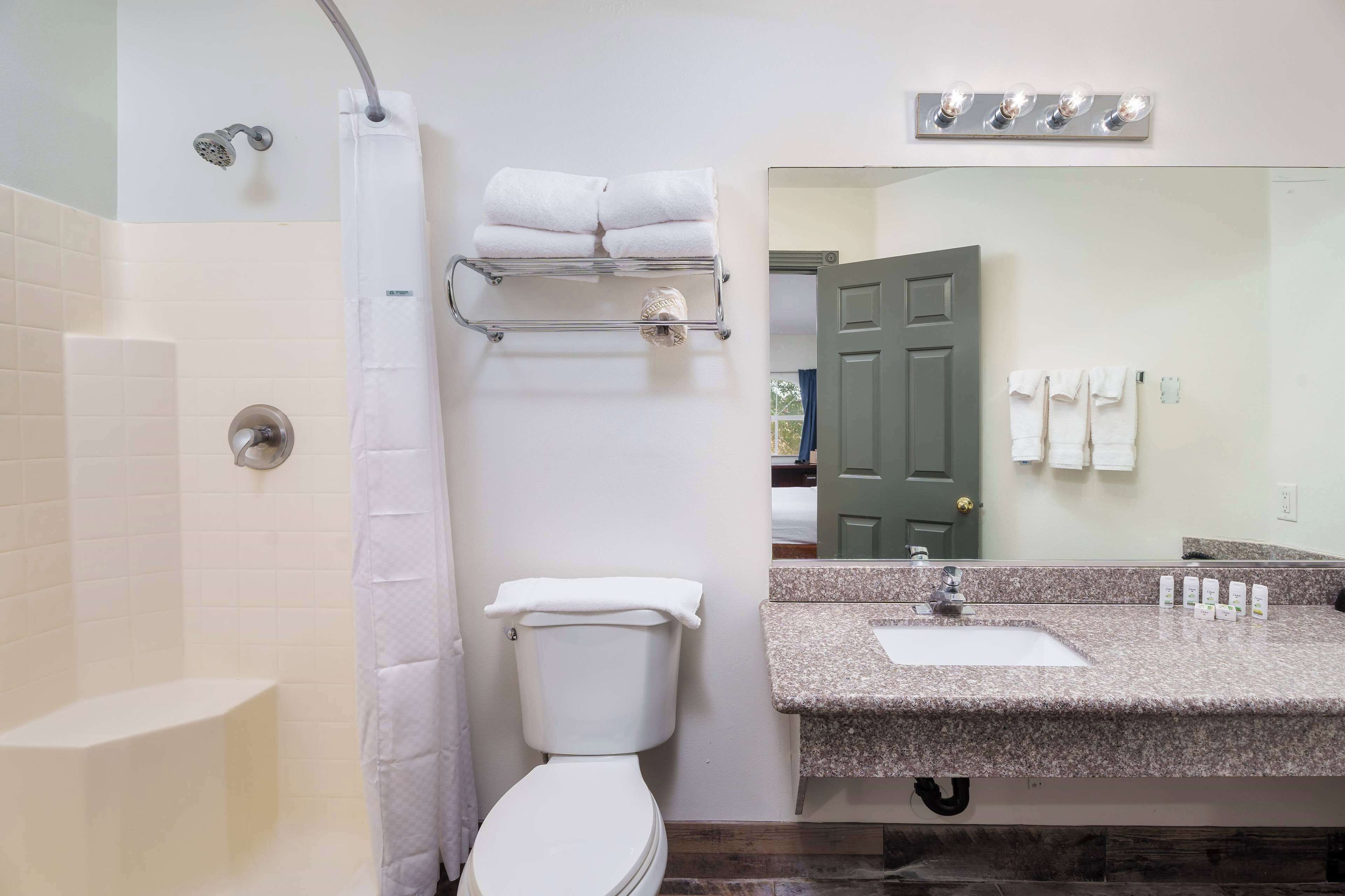 A bathroom with a toilet, a shower, a sink, and a mirror.
