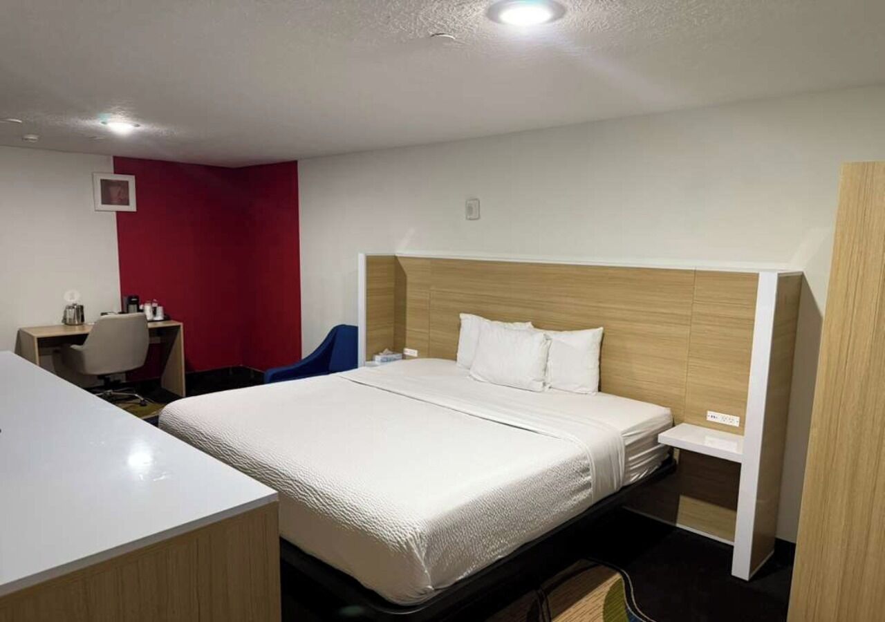 A hotel room with a bed, a desk, a chair, and a red accent wall.