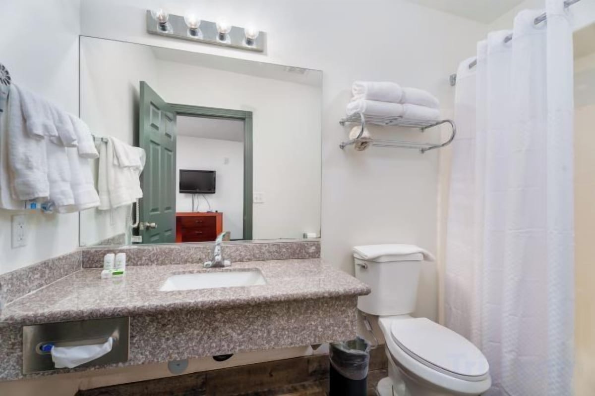 A bathroom with a sink, toilet, and a mirror.
