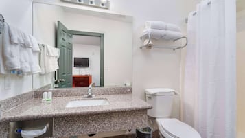 Un bany amb un lavabo de granit, un vàter, un mirall i un escurapous.