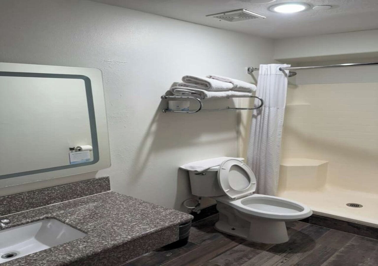 A bathroom with a granite countertop sink, a toilet, and a shower area.