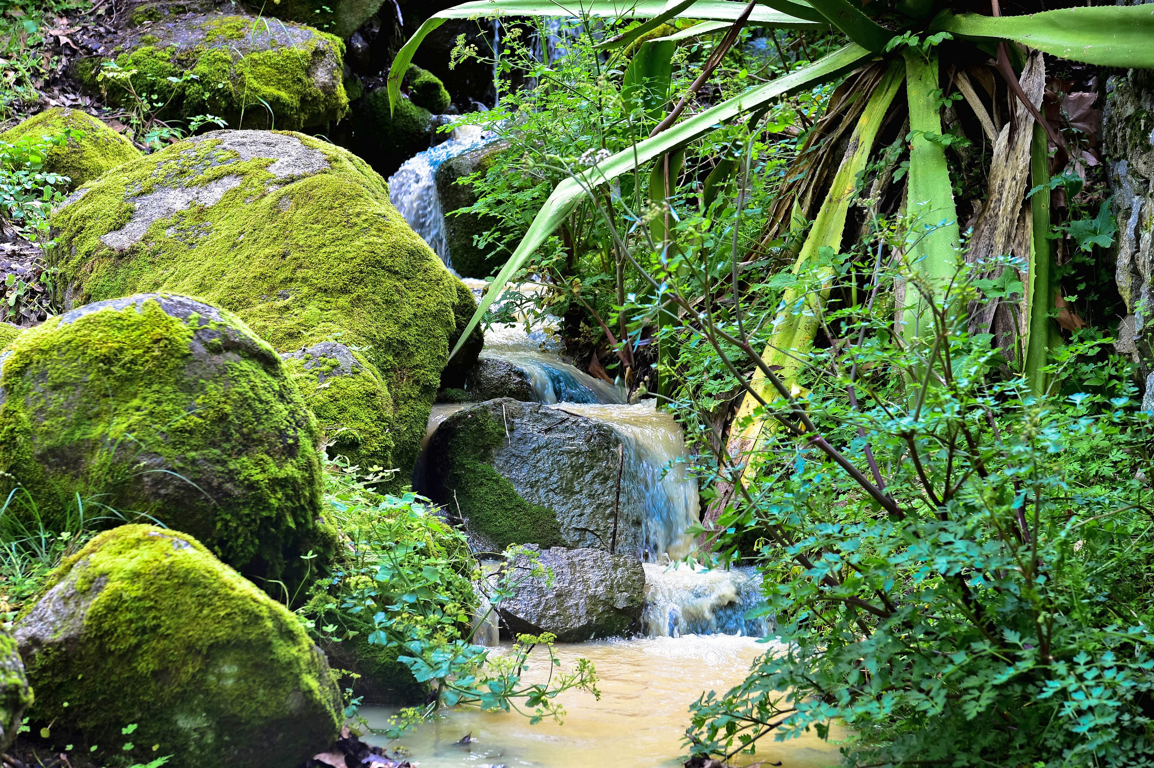 A natural waterfall surrounded by moss-covered rocks and dense foliage.