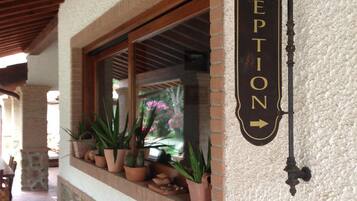 Un letrero de recepción con una flecha indicadora, una ventana con plantas en macetas y una pared de piedra.