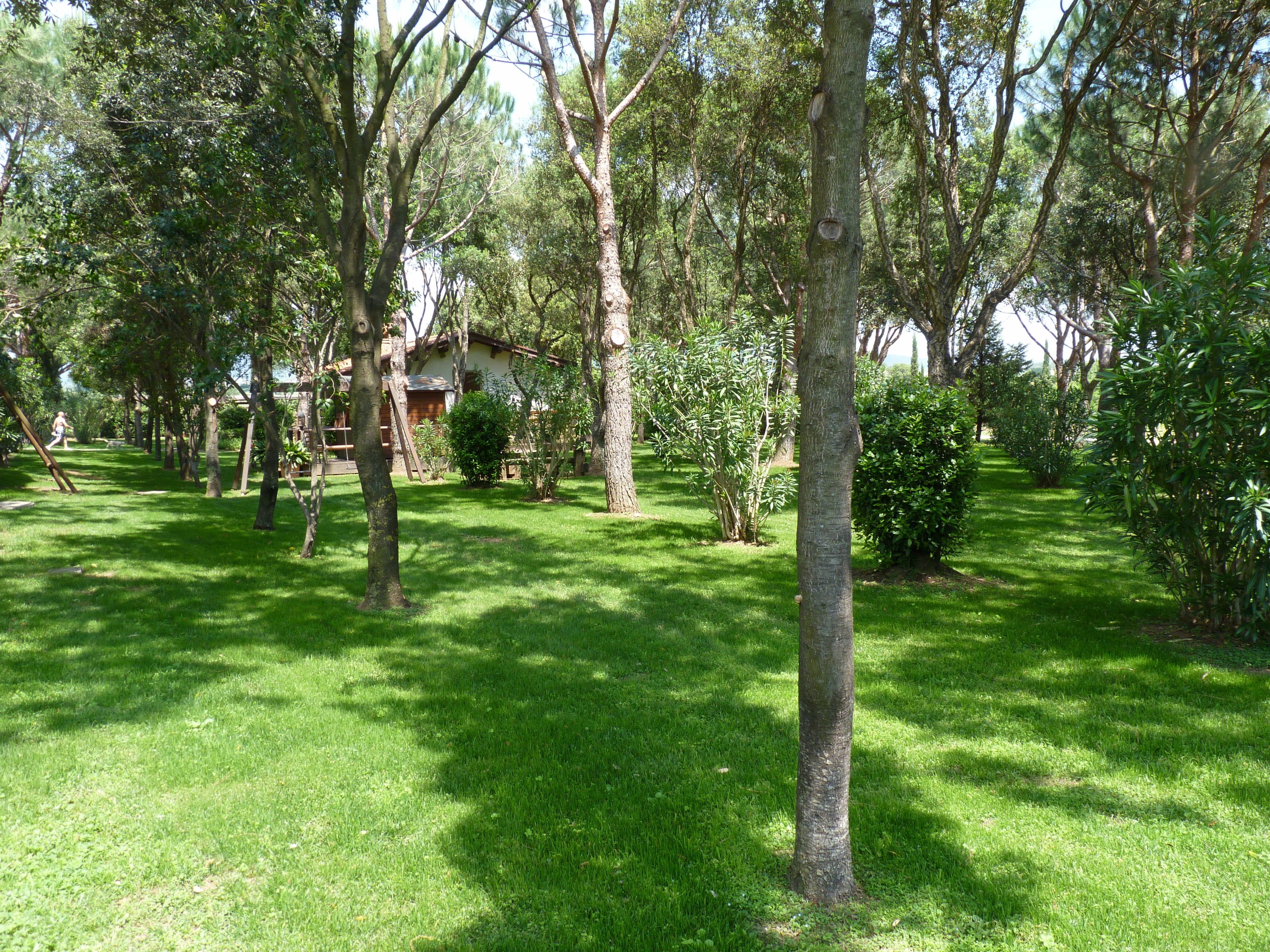 A lush garden with various trees and a wooden structure in the background.