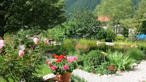 Un jardin avec un étang, des plantes en pot et un sentier en pierre.