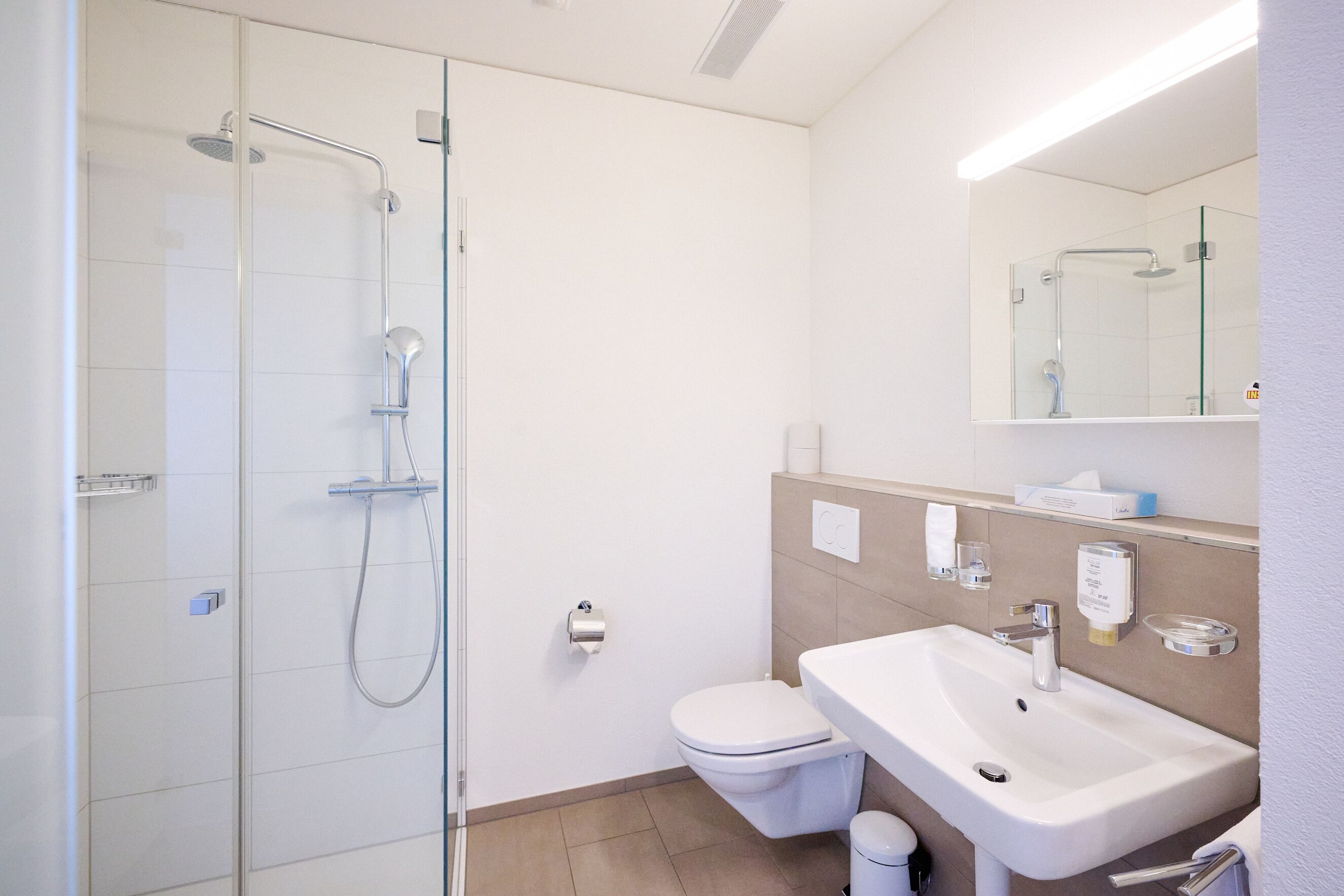 A modern bathroom with a glass-enclosed shower, a white toilet, and a sink with a mirror above.
