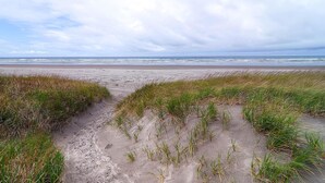 A beach with sand dunes and grass in the foreground. - Beachwood Estate (Ocean Park)