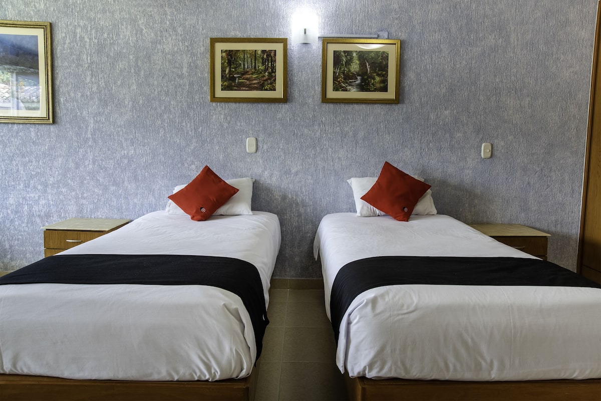 Habitación estándar con 2 camas individuales, 2 camas individuales | Wifi gratis y ropa de cama 
