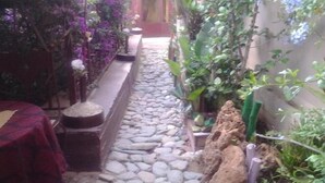 Un estrecho sendero de piedra bordeado de exuberante vegetación y plantas en macetas, que conduce a la entrada de un edificio.