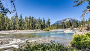 Un río serpentea por un bosque, con una montaña al fondo.