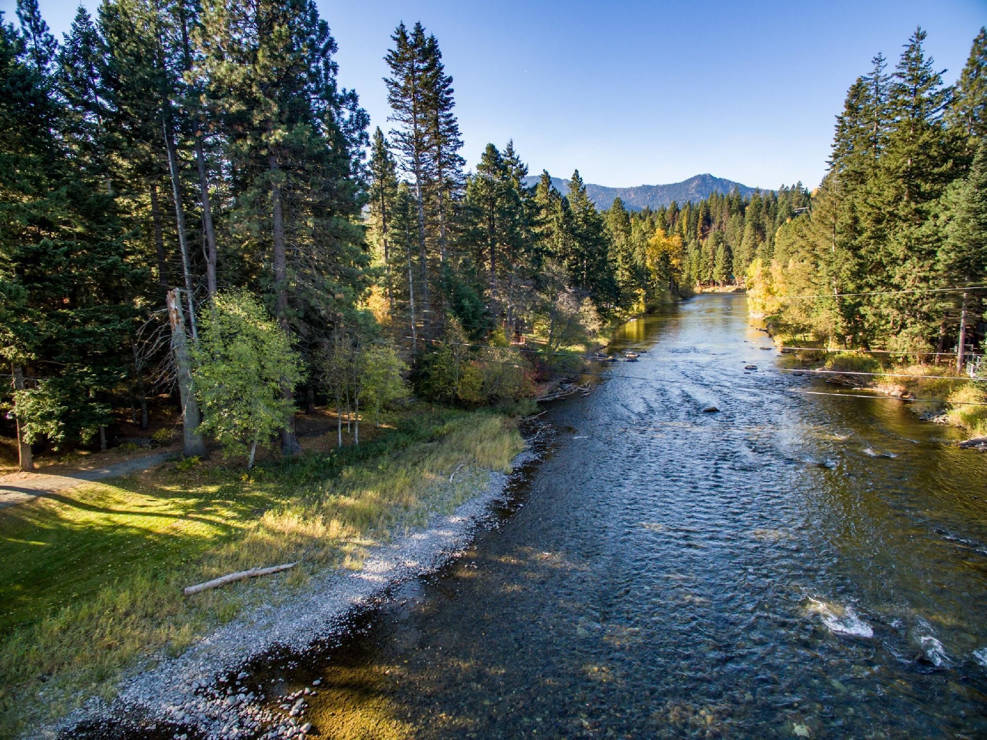Un río serpentea por un bosque de árboles altos, con una montaña al fondo.