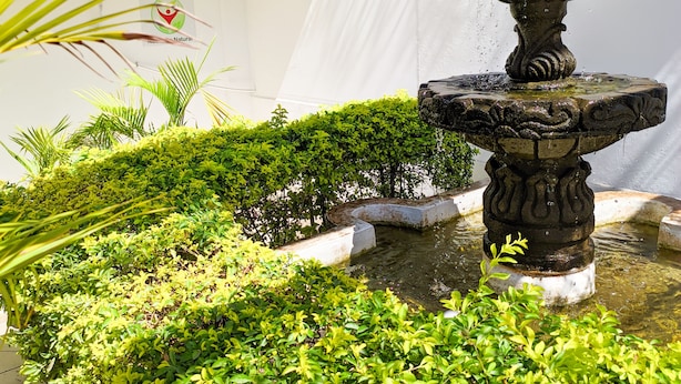 Une cour avec une fontaine en pierre, des arbustes soigneusement taillés et un bâtiment blanc sur lequel est apposée une enseigne indiquant « EL SHADDA ».