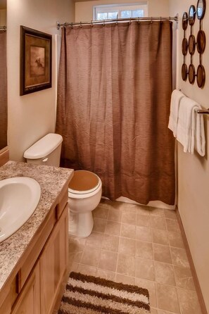 A bathroom with a toilet, sink, and shower curtain. - Roslyn Chalet (Cle Elum)