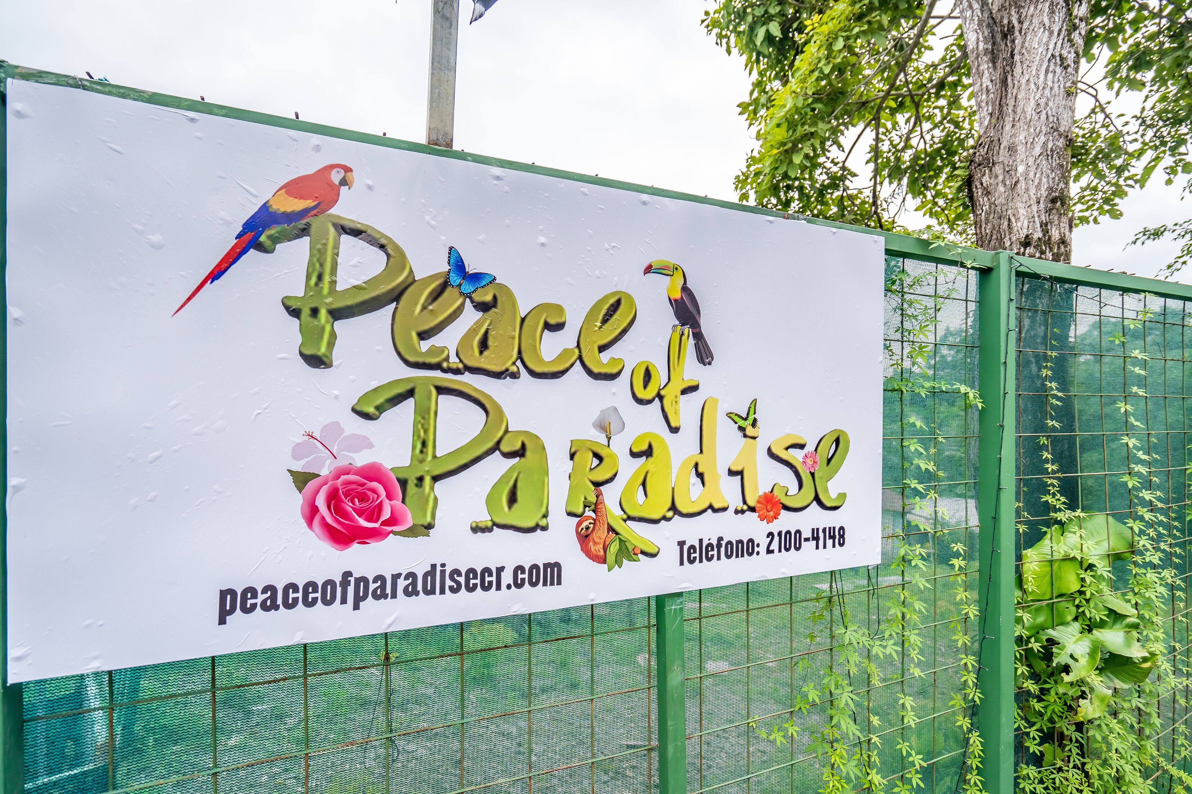 Photo - Peace of Paradise Breakfast Included Free Manuel Antonio Park Tour