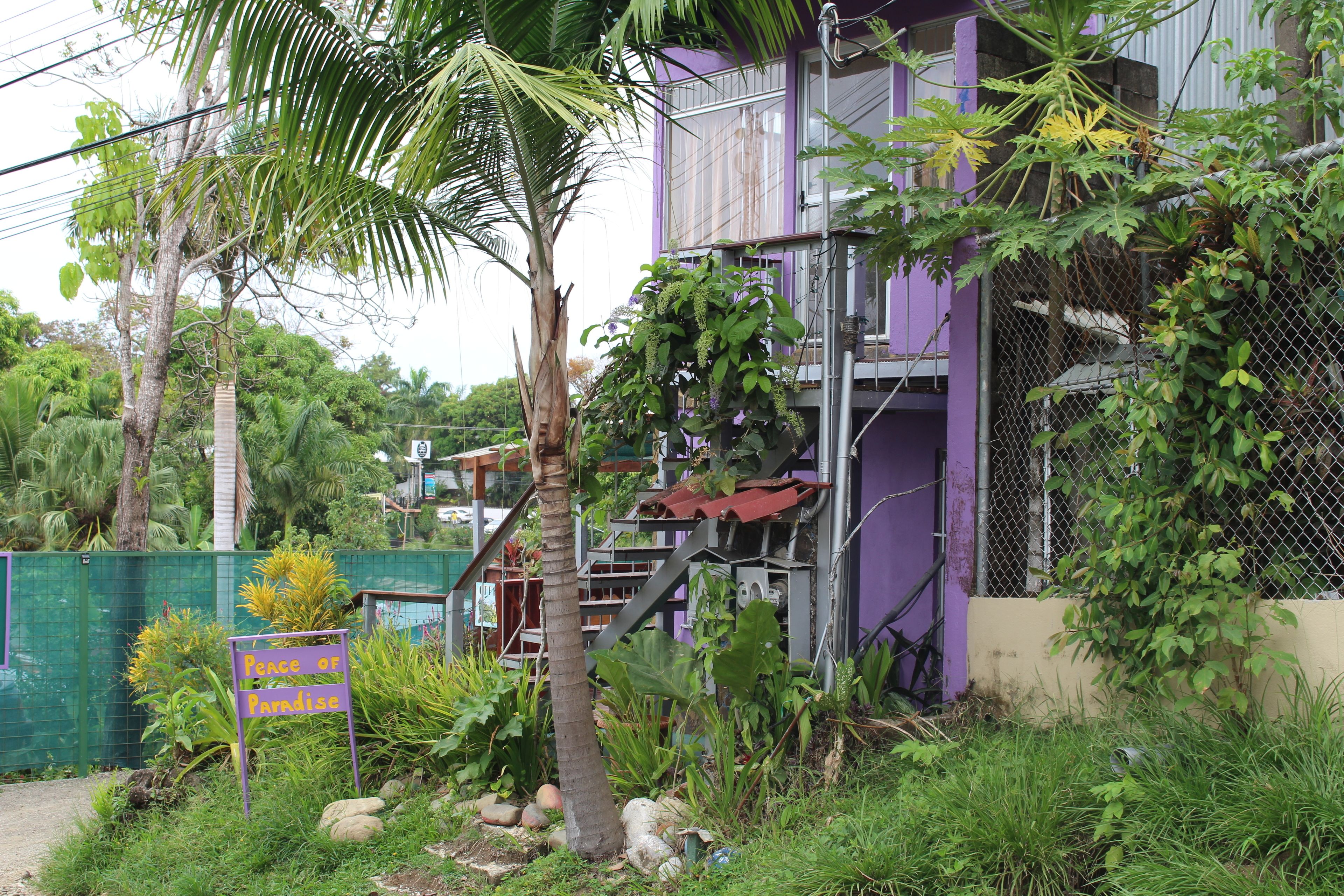 Photo - Peace of Paradise Breakfast Included Free Manuel Antonio Park Tour