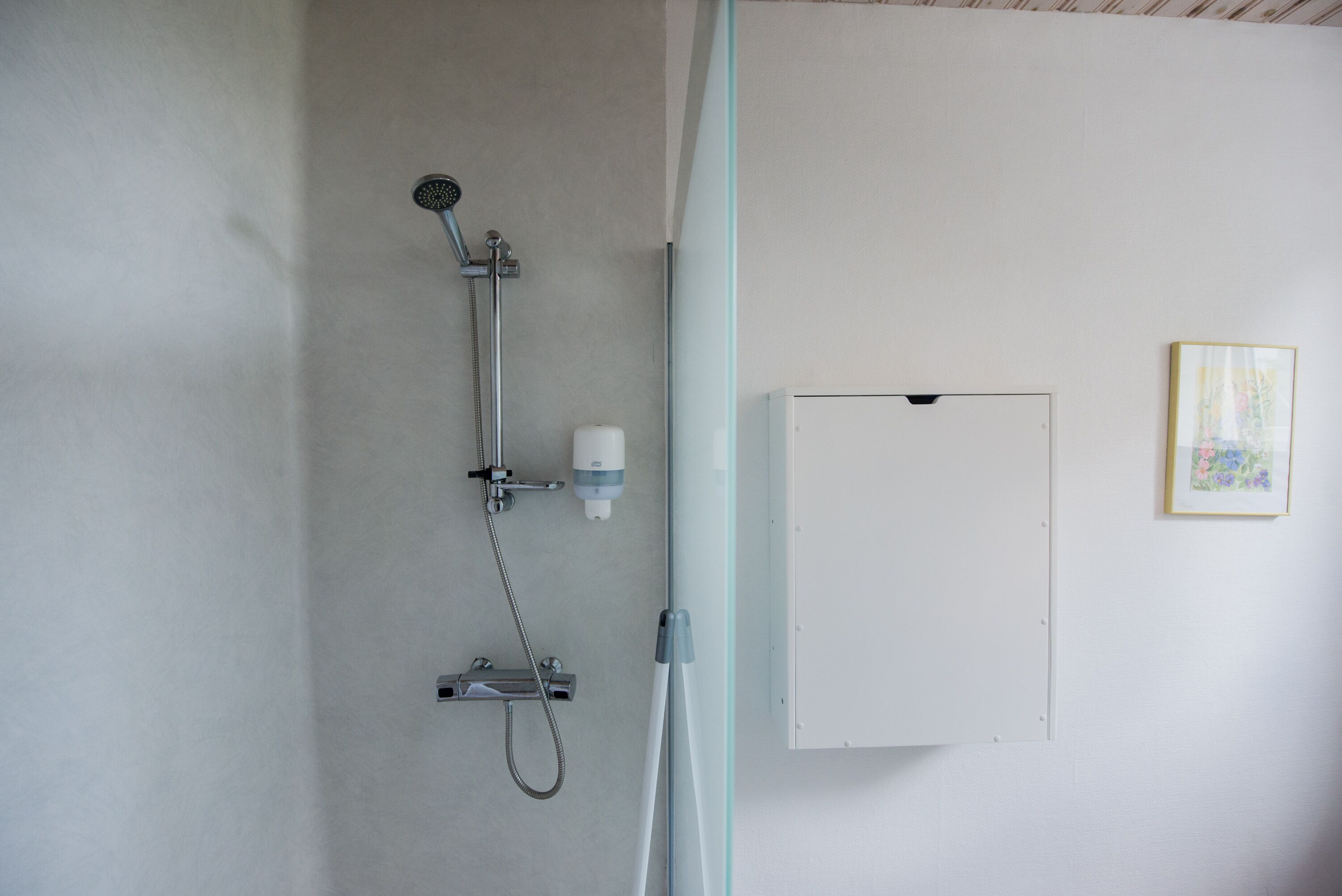 Une salle de bain avec une douche, des toilettes et un tableau encadré au mur.