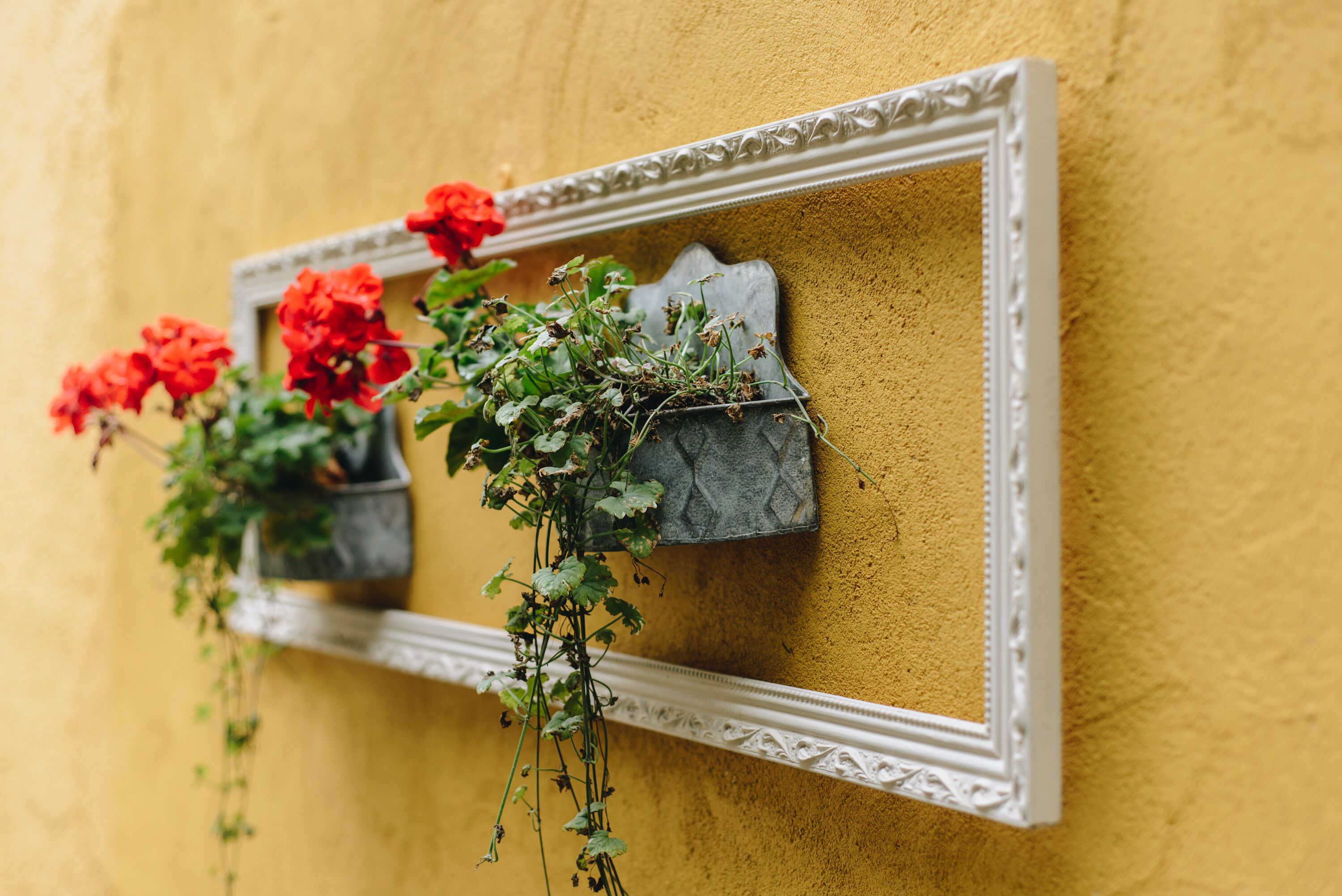 Un espejo con un marco decorativo fijado en una pared amarilla con textura.