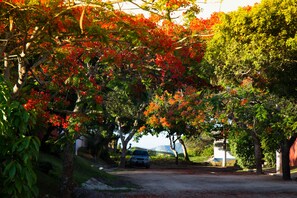 Entrada de la propiedad