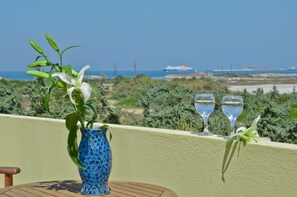 Property grounds - Fabulous Vacation Villa (naxos island,cyklades,Greece)