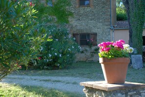 Parco della struttura