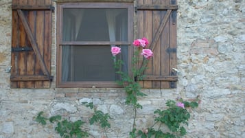 DĂ©tail de lâextĂ©rieur