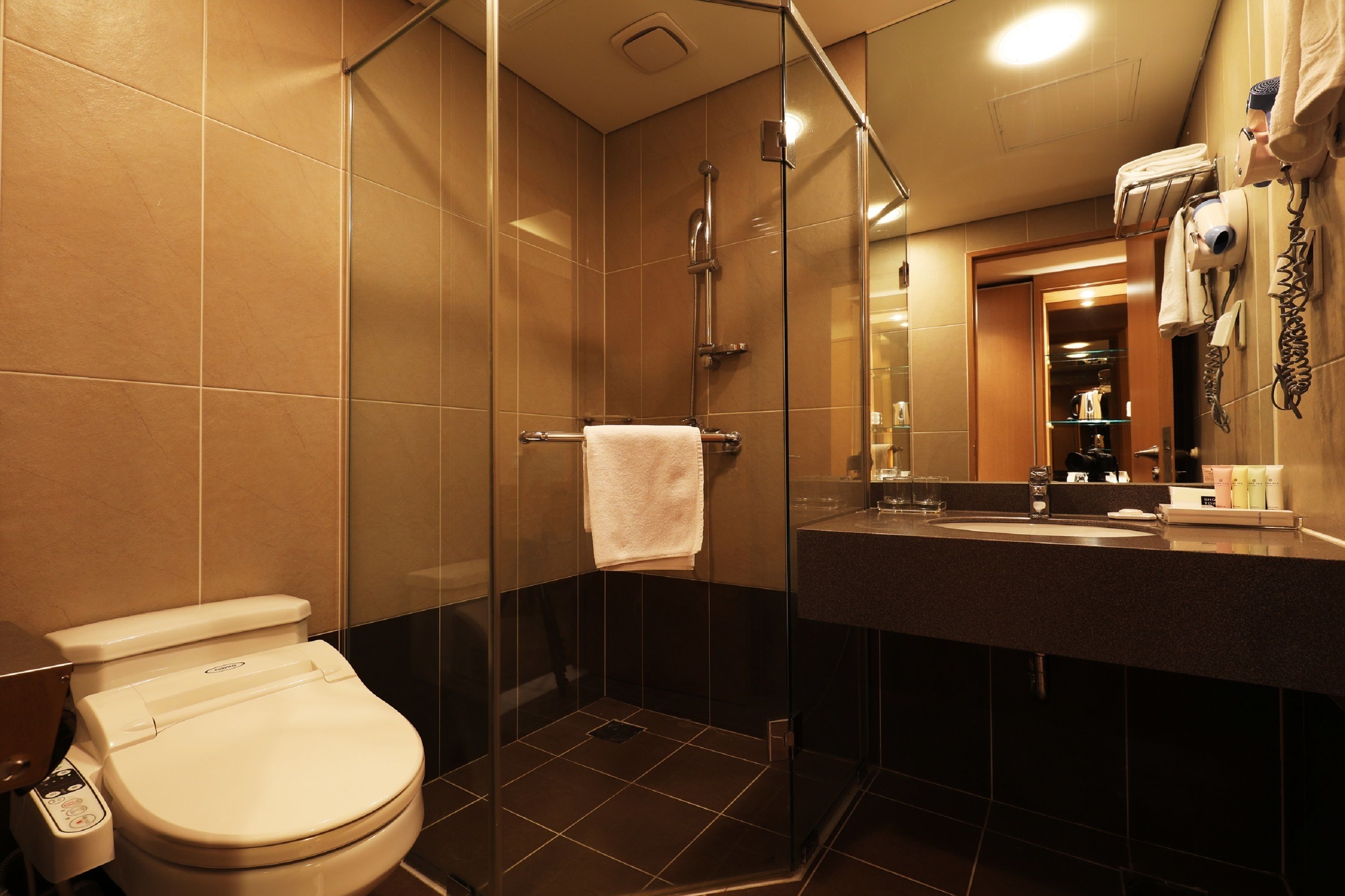 standard double room | bathroom shower
