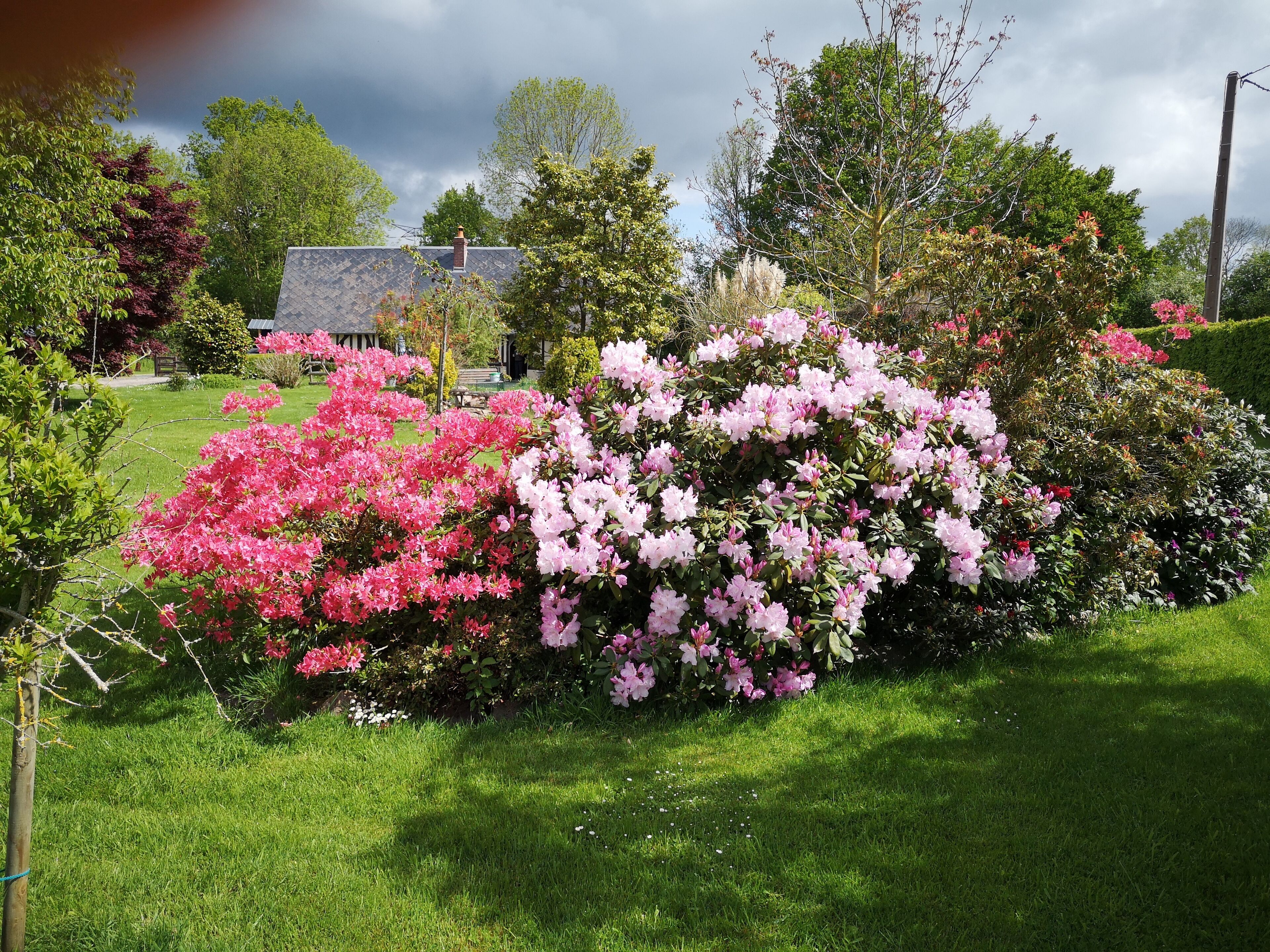 Jardines del alojamiento
